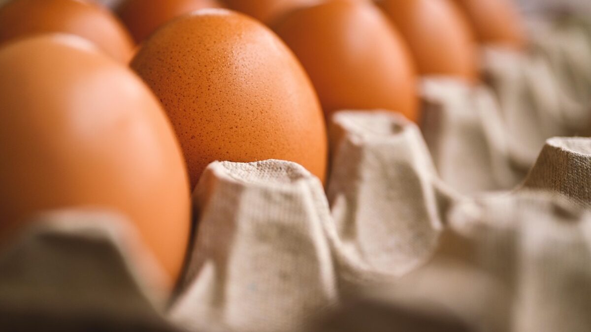 Who is really shaping the Baltic egg market? (corrected)