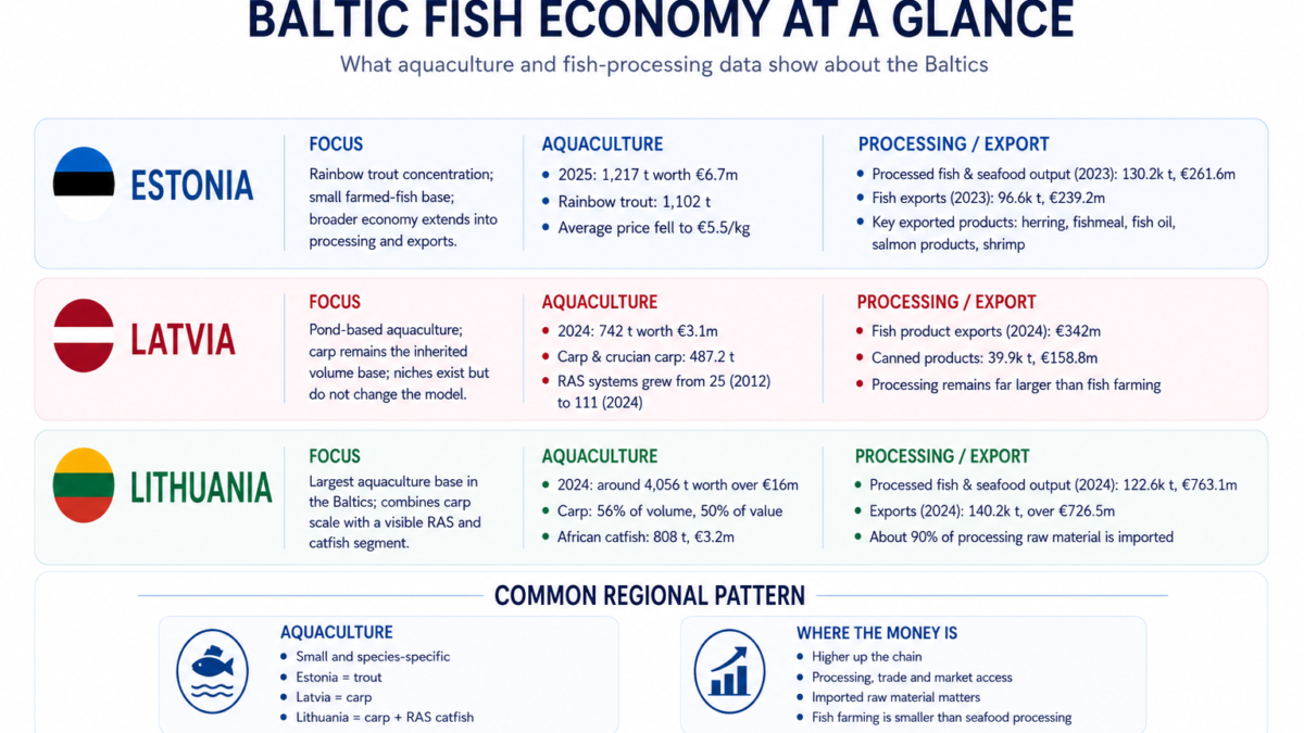 Baltic fish economy: Estonia’s trout, Latvia’s carp and Lithuania’s catfish signal
