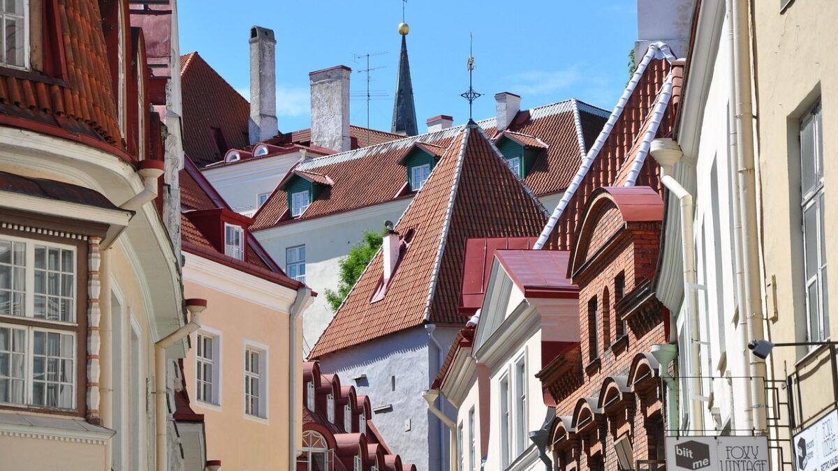 A mailbox for Grok: how xAI’s European contact point ended up in Tallinn